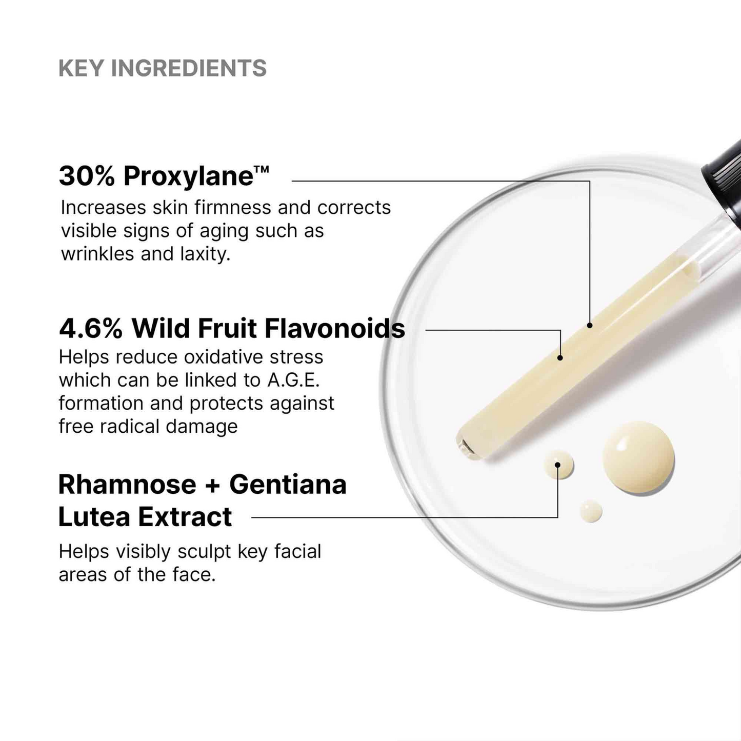 SkinCeuticals A.G.E Interrupter Serum